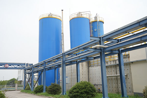 Điều trị sơ bộ