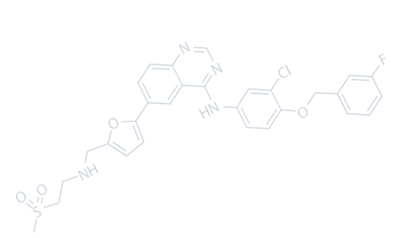 Công ty TNHH Tài liệu mới của Jiangsu Besd.